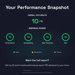 Screenshot of the results page of the Mobile Report Snapshot.